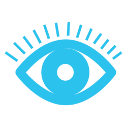ICONS-CR24.1 ICONS-CR24.1